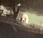 Parcel thief busted after brazen post office dawn break‑in at Two Wells, South Australia