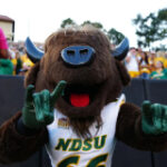 2026 NFL Draft scouting report: Cole Payton, QB, North Dakota State