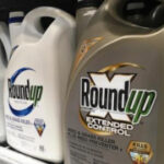 Supreme Court will hear appeal by maker of popular Roundup weedkiller to block thousands of lawsuits
