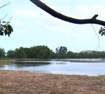 Man attacked by crocodile during morning swim in Ingham, Queensland