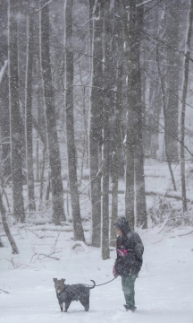 Arctic cold overtakes US as huge winter storm looms