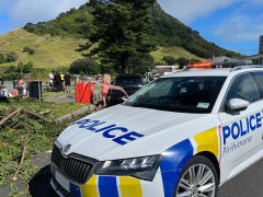 Rescuers search for survivors after landslide at New Zealand campsite