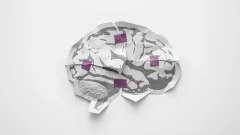 The Most Overlooked Competitive Advantage in 2026