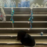 Why freezing rain has millions at risk of losing power — and heat