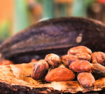 Cocoa Prices Rebound as West African Producers Hold Back Supplies