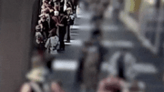 Invasion Day rally bomb scare after device thrown into crowd probed as ‘terrorist act’