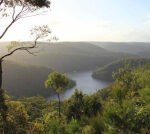 Teens injured after falling 10 metres over Cherrybrook cliff, Sydney