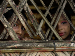 ‘No expectations’: Bangladesh election means little to 1m Rohingya refugees