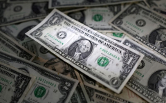 Dollar set for strongest week since November, yen steadies before polls