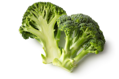 Broccoli (Brassica oleracea var. italica)