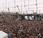 Man dies, six others hospitalised following medical episodes at Dreamstate festival in Sydney