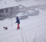 Three killed in Sweden as major storm sweeps across Nordic countries