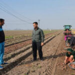 From automated farm tractors to exam paper grading, AI boosts efficiency for some in India