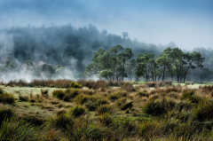 The wilderness encounter