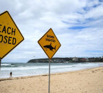 Australia records most shark attack fatalities globally in 2025