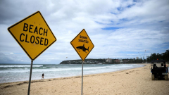 Australia records most shark attack fatalities globally in 2025