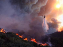 LA firefighter says he warned brush fire wasn’t out before massive blaze ignited