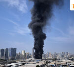 US-Iran conflict: No commotion here, say UAE tourists; Emirates, Etihad resume limited flights from Dubai and Abu Dhabi