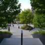 Less traffic, less noise: Green axes cut noise levels in cities