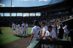 Auburn vs Missouri: Live updates, highlights for Friday’s SEC opener