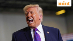 Did Trump shut down Middle East allies’ push for Iran ceasefire talks? What report says